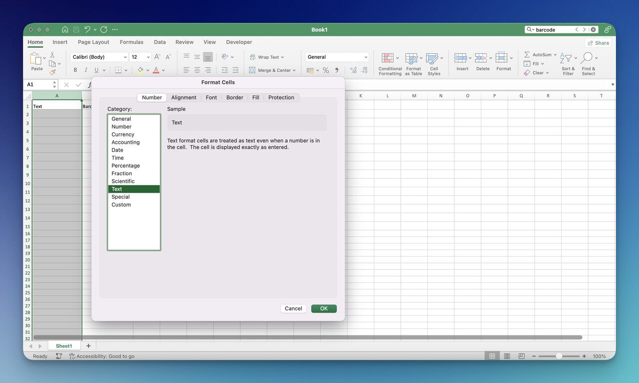 Excel Format Cells dialog open on the Number tab with Text category selected for barcode-safe input