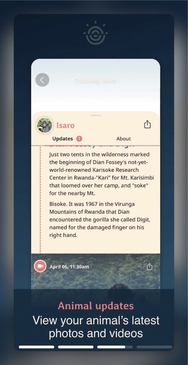 Screenshot from the Fahlo app displaying updates, including text and details about tracked animals like their latest photos and stories.