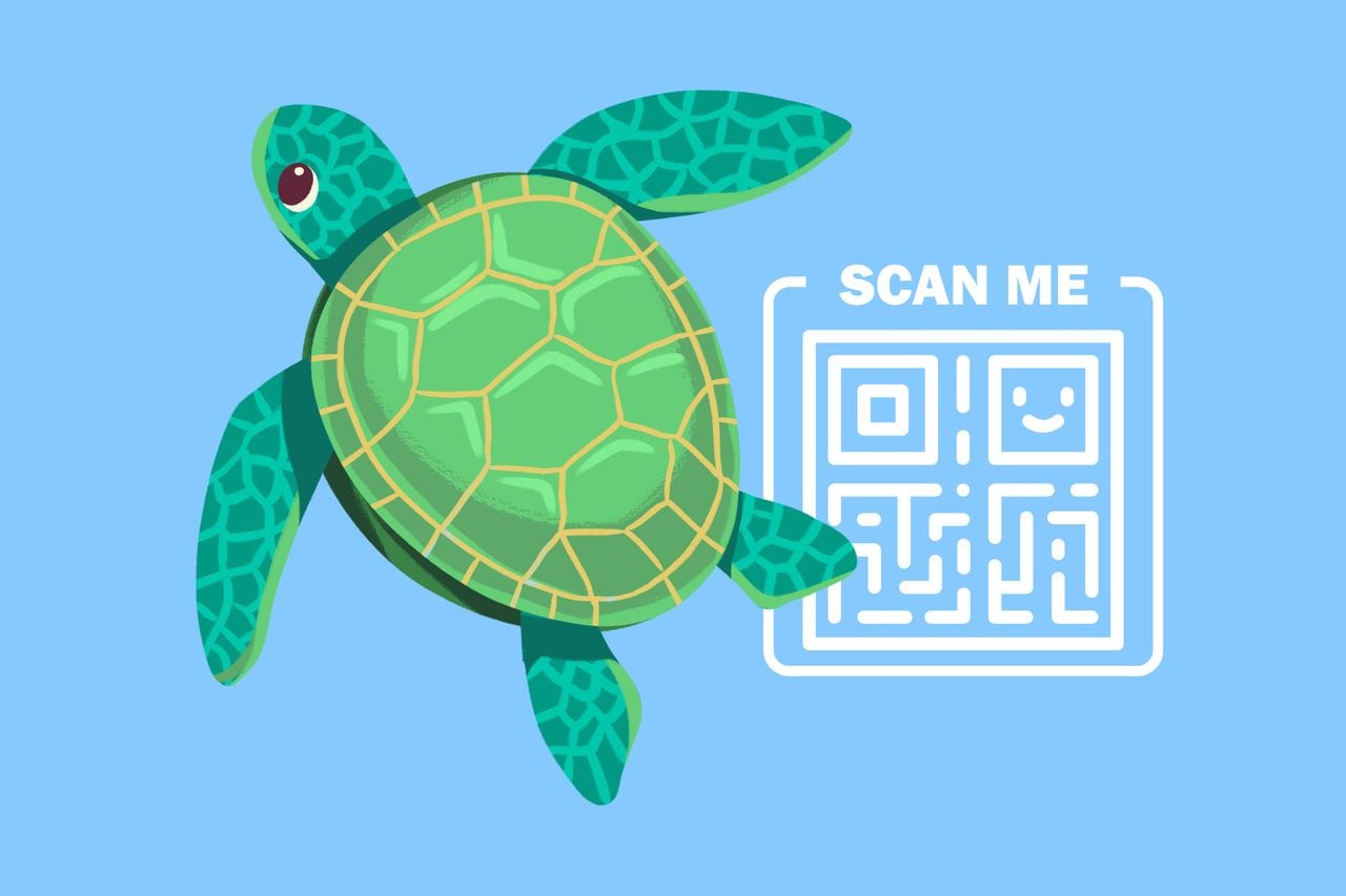 Cover image with a illustration of a sea turtle with a a QR code, representing tracking animals with Fahlo QR code..